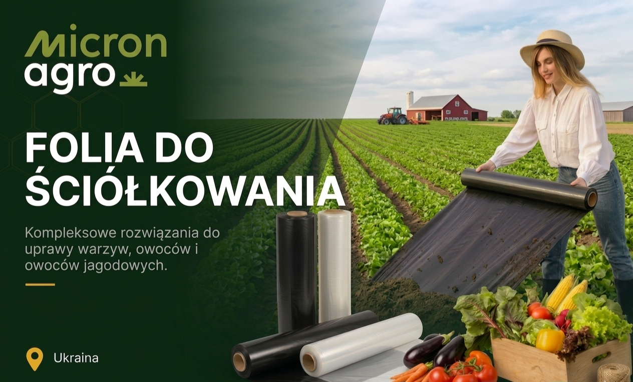 Automatyzacja sprzedaży B2B i kompleksowa promocja (SEO + PPC)