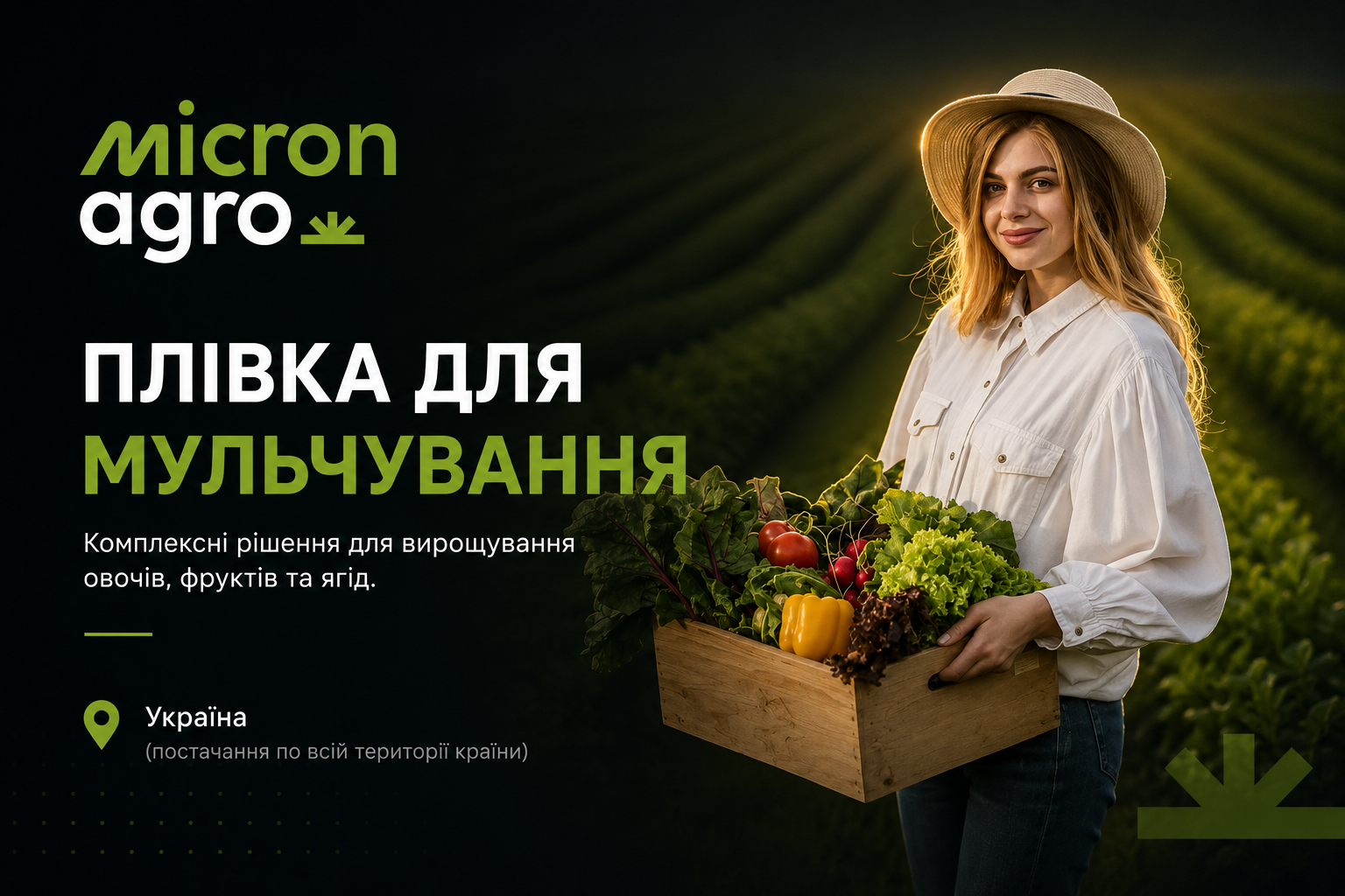 Автоматизація B2B-продажів та комплексне просування (SEO + PPC)
