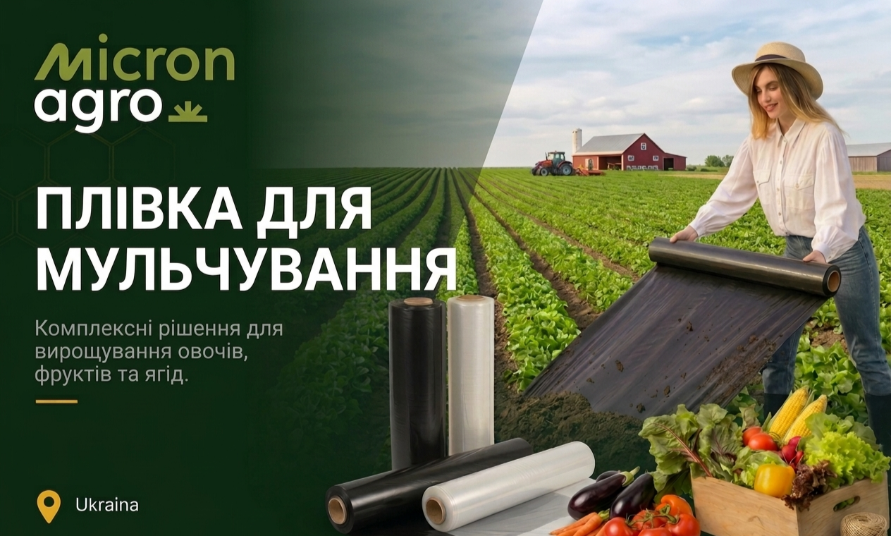 Автоматизація B2B-продажів та комплексне просування (SEO + PPC)
