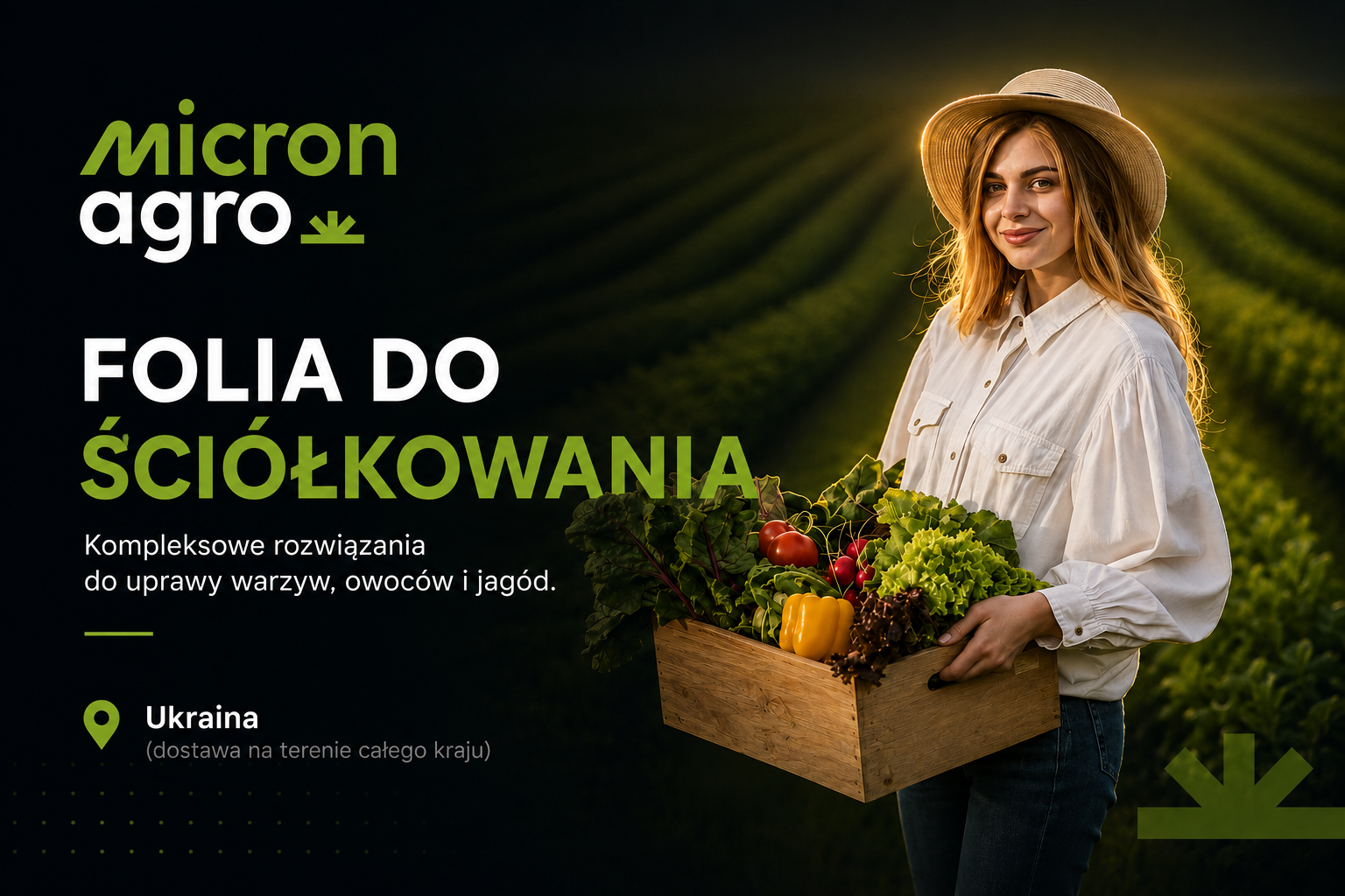 Automatyzacja sprzedaży B2B i kompleksowa promocja (SEO + PPC)